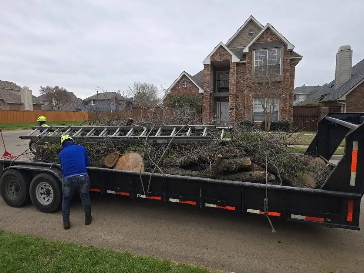 Expert Lot Clearing with proper safety equipment in Brady